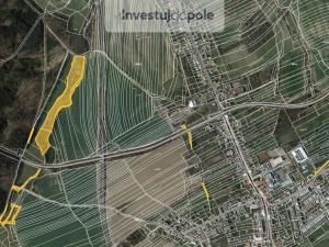 Prodej lesa, Golčův Jeníkov, 17535 m2