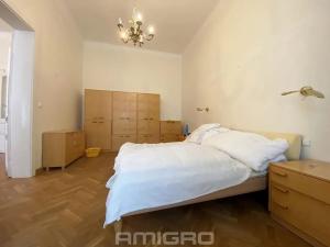 Pronájem bytu 4+1, Brno, Česká, 220 m2
