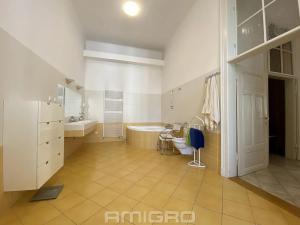 Pronájem bytu 4+1, Brno, Česká, 220 m2