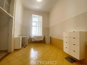 Pronájem bytu 4+1, Brno, Česká, 220 m2