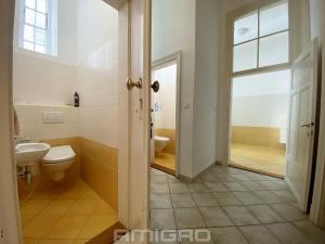 Pronájem bytu 4+1, Brno, Česká, 220 m2