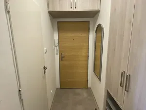 Prodej bytu 1+kk, Ostrava, Podroužkova, 30 m2