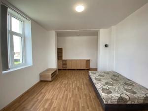 Pronájem bytu 1+kk, Čistá, 38 m2