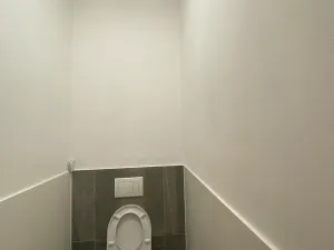 Pronájem bytu 1+kk, Čistá, 38 m2