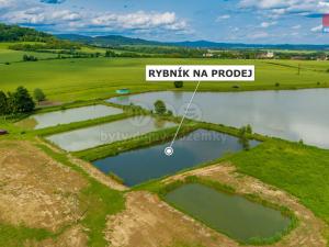 Prodej rybníku, Ostružno, 3377 m2