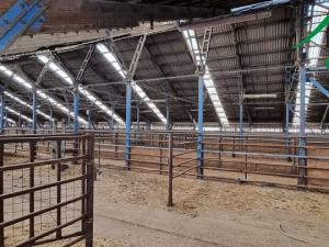 Prodej komerční, Dlouhý Újezd, 10000 m2