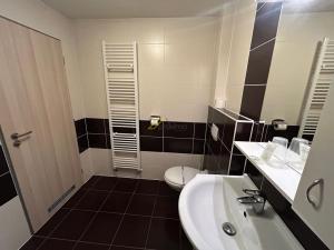 Pronájem bytu 1+kk, České Budějovice - České Budějovice 3, Jiráskovo nábř., 29 m2