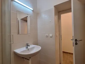 Pronájem bytu 2+1, Praha - Bubeneč, U zeměpisného ústavu, 47 m2