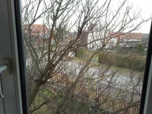 Prodej rodinného domu, Brandýs nad Labem-Stará Boleslav, Na hluboké cestě, 300 m2