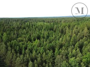 Prodej rodinného domu, České Velenice, 70 m2