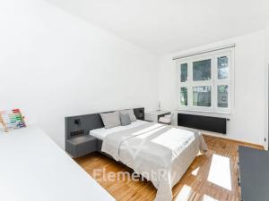 Pronájem bytu 3+kk, Hradec Králové, Šafaříkova, 100 m2