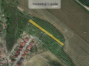 Prodej pole, Horní Bojanovice, 10109 m2