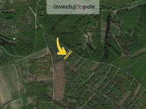 Prodej pole, Horní Bojanovice, 10109 m2