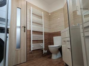 Pronájem bytu 2+kk, Brno, Buková, 38 m2