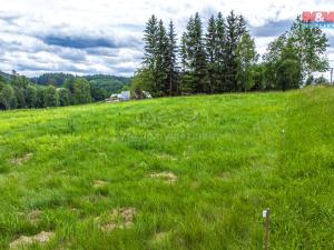 Prodej pozemku pro bydlení, Jablonné v Podještědí - Petrovice, 1490 m2