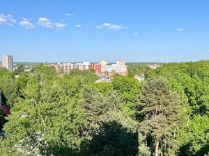 Pronájem bytu 1+kk, Ostrava, Čujkovova, 28 m2
