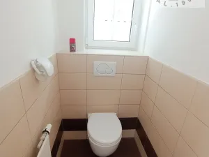 Prodej rodinného domu, Stehelčeves, V. Moravce, 120 m2