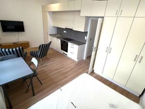 Pronájem bytu 1+kk, Ostrava, 28. října, 30 m2
