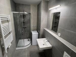 Pronájem bytu 1+kk, Ostrava, 28. října, 30 m2