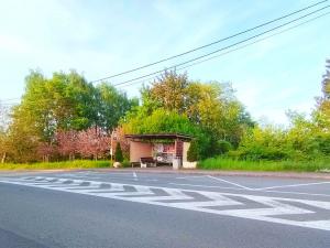 Prodej zahrady, Ostrava - Michálkovice, Vrublova, 299 m2