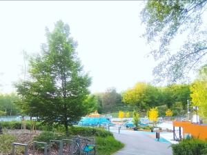 Prodej zahrady, Ostrava - Michálkovice, Vrublova, 299 m2