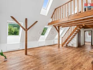 Pronájem bytu 4+kk, Ústí nad Labem, Konečná, 98 m2