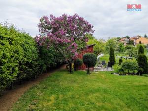 Prodej zahrady, Lubenec, 670 m2