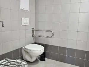 Pronájem obchodního prostoru, Brno, Cejl, 70 m2