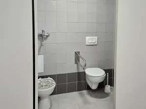 Pronájem obchodního prostoru, Brno, Cejl, 70 m2