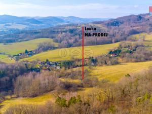 Prodej louky, Žandov - Radeč, 3251 m2