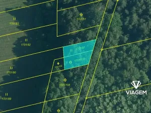 Prodej podílu lesa, Lužnice, 751 m2