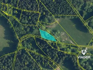 Prodej podílu lesa, Plavy, 865 m2
