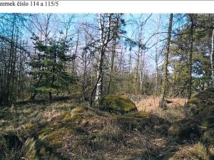 Prodej lesa, Osové, 21602 m2