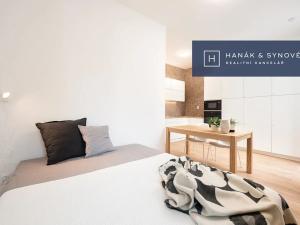 Pronájem bytu 1+kk, Brno, Francouzská, 26 m2