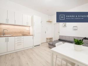 Pronájem bytu 1+kk, Brno, Francouzská, 20 m2