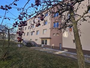 Pronájem bytu 3+kk, Moravské Budějovice, Myslbekova, 64 m2