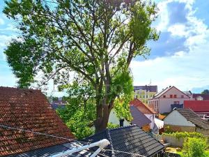 Prodej rodinného domu, Kamenice nad Lipou, Palackého, 220 m2