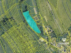 Prodej louky, Hřivínův Újezd, 7246 m2