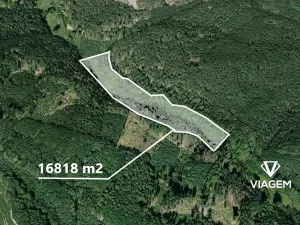 Prodej podílu lesa, Kněžmost, 2803 m2