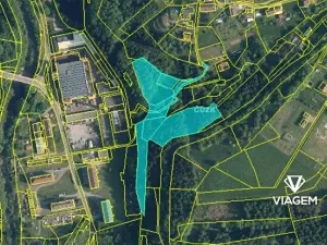 Prodej podílu lesa, Velké Hamry, 7725 m2