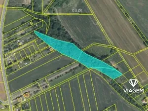 Prodej podílu lesa, Charváty, 1159 m2