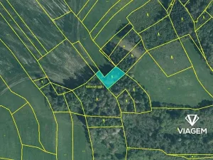 Prodej lesa, Kbel, 1072 m2