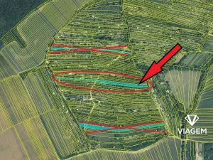 Prodej zahrady, Uherský Brod, 3014 m2