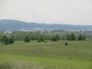 Prodej pozemku, Čížová, 2006 m2