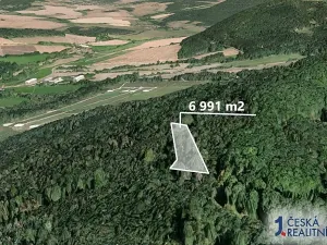 Prodej lesa, Poleň, 6991 m2