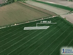 Prodej pole, Třibřichy, 2990 m2