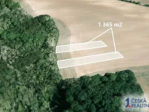 Prodej pole, Morkůvky, 1365 m2