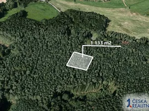 Prodej lesa, Štichov, 1133 m2