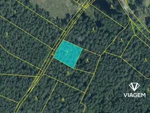 Prodej lesa, Štichov, 1133 m2