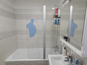 Pronájem bytu 2+1, Písek, třída Přátelství, 60 m2